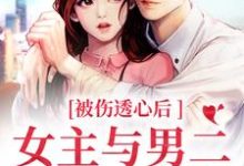 被伤透心后，女主与男二在一起了主角冯芜傅司九小说完结版章节在线阅读-贝壳文学