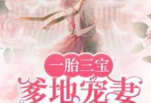 一胎三宝，爹地宠妻超给力小说有没有完结版在线？-贝壳文学