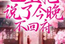 王爷，王妃说了今晚不回府！免费阅读，王爷，王妃说了今晚不回府！花颜清龙祁连-贝壳文学