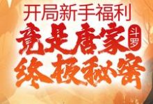 千云是哪本书的主角?寻找斗罗:开局新手福利,竟是唐家终极秘密免费阅读-贝壳文学