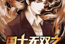求推荐可以免费阅读国士无双之强者归来小说的网站-贝壳文学