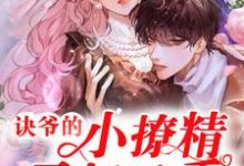 阮娇娇夜诀小说在哪里可以看-贝壳文学