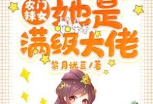 农门辣女:肥婆弃妇她是满级大佬章节免费在线阅读,元浅慕容擎深完结版-贝壳文学