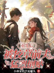 重生后，被校草前夫猛烈倒贴宋澜书周珩之小说大结局免费试读