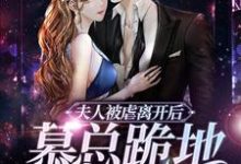 完结版《夫人被虐离开后，慕总跪地求复合》在线免费阅读-贝壳文学