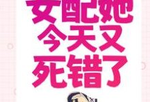 已完结小说《穿书：女配她今天又死错了》最新章节-贝壳文学