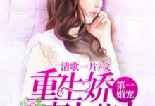 第一婚宠：重生娇妻太惹火顾西邢北岩，第一婚宠：重生娇妻太惹火最新章节-贝壳文学