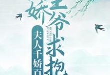 楼月白潇婉婉的小说在哪里看？免费在线阅读夫人千娇百媚，病娇王爷求抱抱-贝壳文学