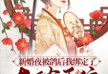 林冉周允琛为主角的小说好看吗?免费读绑定系统后,不种田就被雷劈?-贝壳文学