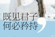 辛云季川彦秋的完整故事在哪里?读既见君子何必矜持小说-贝壳文学