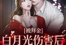 求被拜金白月光伤害后,总裁黑化了小说的全文免费阅读链接-贝壳文学