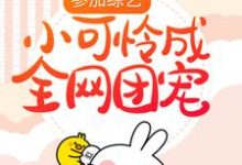 参加综艺：小可怜成全网团宠章节免费在线阅读，顾萌萌夏天完结版-贝壳文学