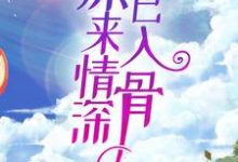 原来情深已入骨韩洛段奕铭小说大结局免费试读-贝壳文学