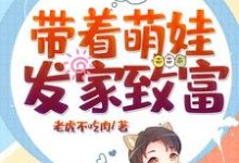 哪里能找到带着萌娃发家致富小说的全部章节？-贝壳文学
