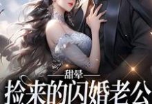 甜晕，捡来的闪婚老公居然是首富免费阅读，甜晕，捡来的闪婚老公居然是首富章节在线阅读-贝壳文学
