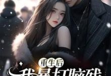 符婉沈铃铃为主角的小说好看吗？求重生后，我暴打脑残前夫一家免费试读-贝壳文学