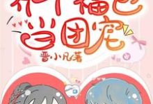 主人公叫弯弯秦盛的小说养个福包当团宠在线阅读章节-贝壳文学