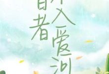 智者不入爱河这本小说怎么样？免费在线阅读试试-贝壳文学