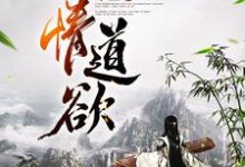 权情道欲简辰风小说大结局免费试读-贝壳文学