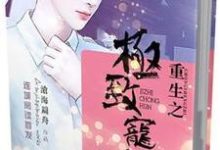 魏琛陈黎是哪本书的主角?寻找重生之极致宠婚免费阅读-贝壳文学
