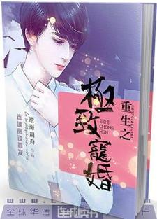 魏琛陈黎是哪本书的主角？寻找重生之极致宠婚免费阅读