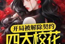 小说《开局被解除契约，四大校花找上门》在线章节阅读-贝壳文学