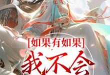 小说《如果有如果，我不会爱上你》章节免费阅读-贝壳文学