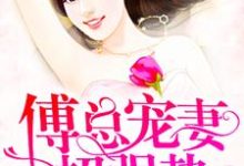 寻找能够免费阅读傅总宠妻超强势小说的平台-贝壳文学