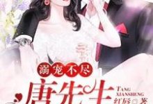 在线搜索於烟唐琛於云琦杜启越的完整小说，免费阅读溺宠不尽：唐先生，请矜持-贝壳文学