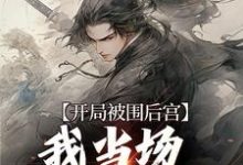小说《开局被围后宫,我当场登基为帝》在线章节阅读-贝壳文学
