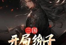 三国:开局统子向我投靠苏泽,三国:开局统子向我投靠章节在线阅读-贝壳文学
