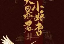 大暴君拎着他的小娇妻走来啦小说的最新章节在哪里更新？免费追踪阅读-贝壳文学