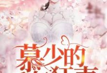 《慕少的千亿狂妻》小说大结局免费试读 宋星辰慕霆萧小说-贝壳文学