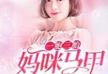 求一胞三胎，妈咪马甲又掉了小说的全文免费阅读链接-贝壳文学