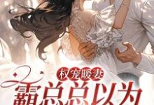 主角白蘅薄京鹤小说完结版在线阅读,权宠暖妻:霸总总以为我乖巧柔弱免费看-贝壳文学