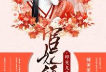 宦妃倾城：叩见九千岁冷倾城独孤江离独孤钥苹儿小说在线章节目录阅读最新章节-贝壳文学
