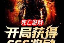 王啸小朵为主角的小说好看吗？免费读死亡游戏：开局获得SSS奖励-贝壳文学