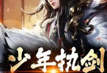 免费在线阅读少年执剑，江湖闯遍小说的正规网站有哪些？-贝壳文学