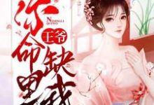 王爷，你命里缺我免费阅读，王爷，你命里缺我章节在线阅读-贝壳文学
