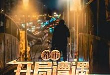 都市：开局遭遇中年危机小说的免费电子版在哪里可以下载或阅读？-贝壳文学