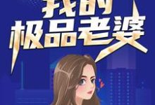 我的极品老婆苏羽白语嫣，我的极品老婆章节在线阅读-贝壳文学