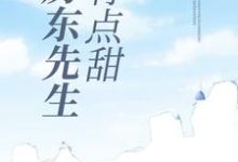 房东先生有点甜小说完结了吗？在哪里可以免费读到？-贝壳文学