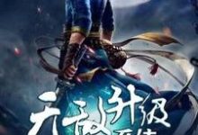 杨修敖青小说《无敌升级系统》在线阅读-贝壳文学