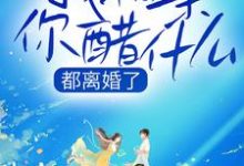 完结版《都离婚了，我相亲你醋什么》章节阅读-贝壳文学