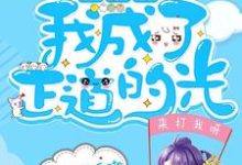 求穿书后我成了正道的光小说的全文免费阅读链接-贝壳文学