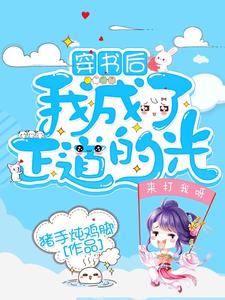 求穿书后我成了正道的光小说的全文免费阅读链接