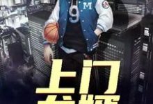 方忝民叶轻容小说《上门龙婿》在线阅读-贝壳文学