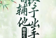 凌绾绾赵怀羿的故事在哪本书里？免费阅读媚骨生香：首辅他终于出手了-贝壳文学