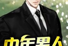 中年男人章节免费在线阅读，杨凡张倩倩完结版-贝壳文学
