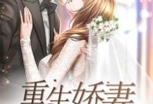 萧依夜影寒是哪本书的主角？寻找重生娇妻飒又甜免费阅读-贝壳文学